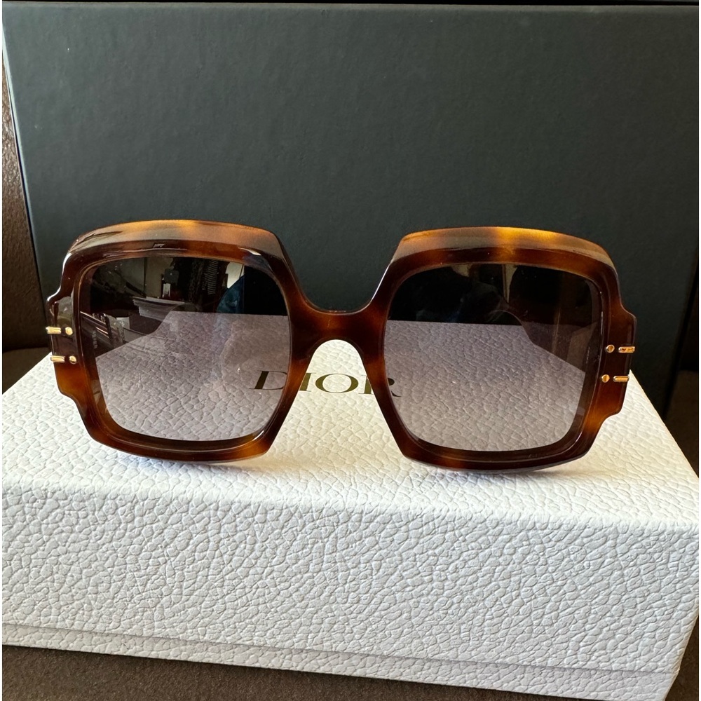 DIOR EYEWEAR DiorSignature S1U sunglasses